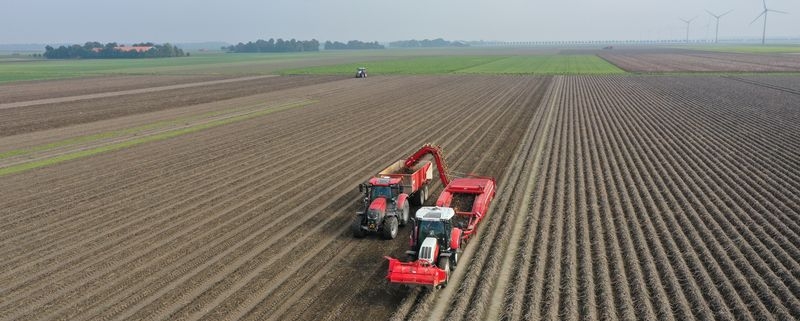 11 oktober 2021; aardappel oogst