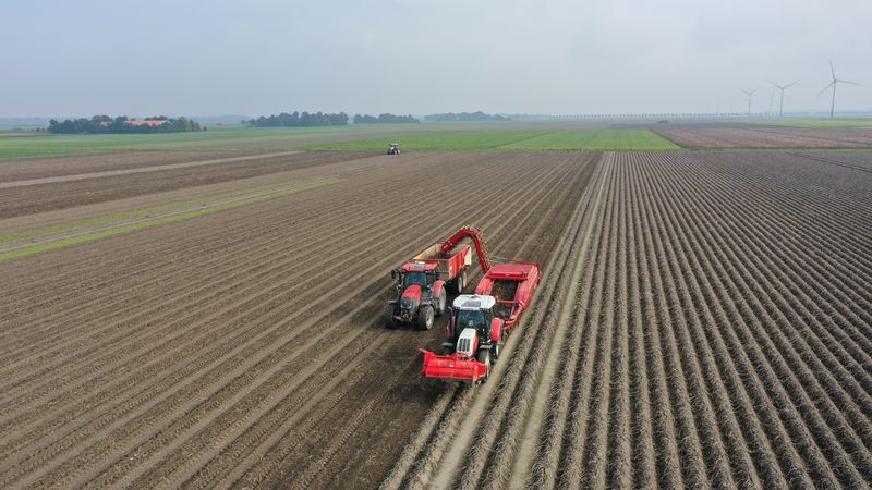 11 oktober 2021; aardappel oogst