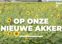 1 december 2021; Video BO akkerbouw