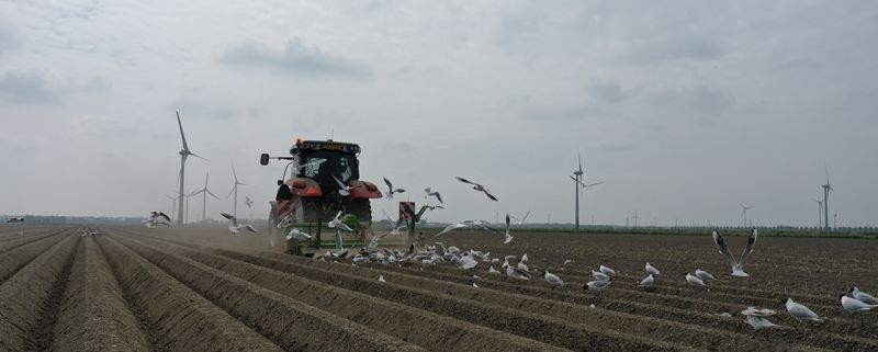 4 en 5 mei 2022; aardappelen frezen