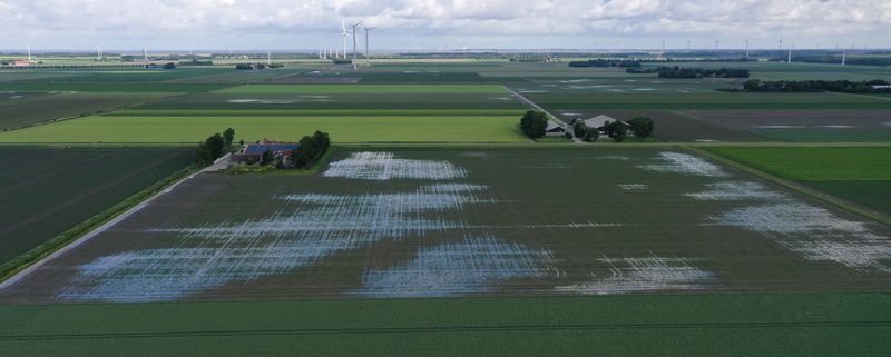 5 t/m 7 juni 2022; wateroverlast op de akker