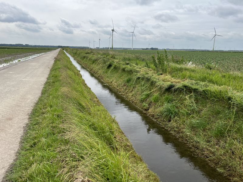 5 t/m 7 juni 2022; wateroverlast op de akker