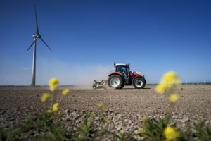 2 mei 2022; stamslabonen perceel voorbewerken