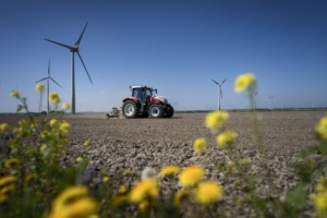 2 mei 2022; stamslabonen perceel voorbewerken