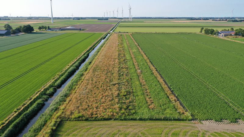 23juli 2022; gewasgroei vogelakker