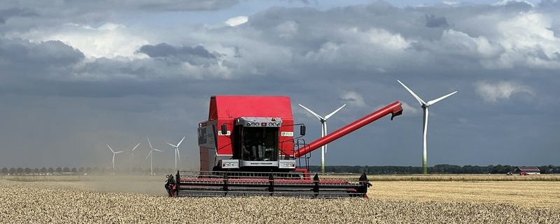 25 juli 2022; wintertarwe oogst