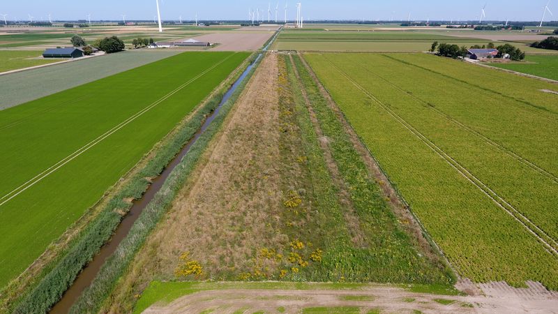 13 augustus 2022; gewasgroei vogelakker