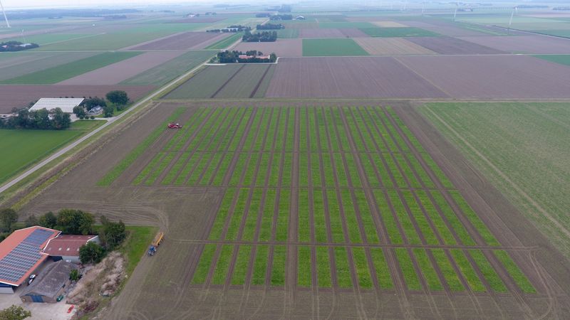 23 september 2022; suikerbieten rooien