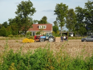 13 september 2022; Sloots Agri proefveld rooien