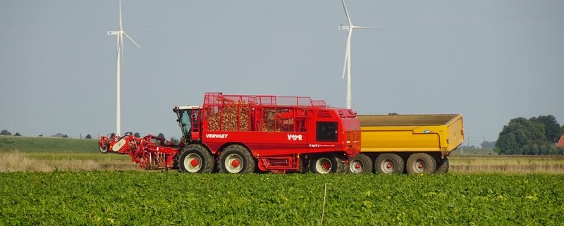 23 september 2022; suikerbieten rooien