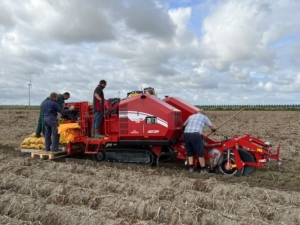 13 september 2022; Sloots Agri proefveld rooien