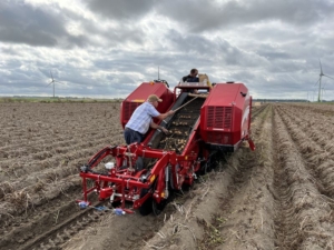 13 september 2022; Sloots Agri proefveld rooien