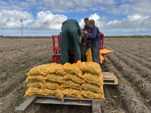 13 september 2022; Sloots Agri proefveld rooien