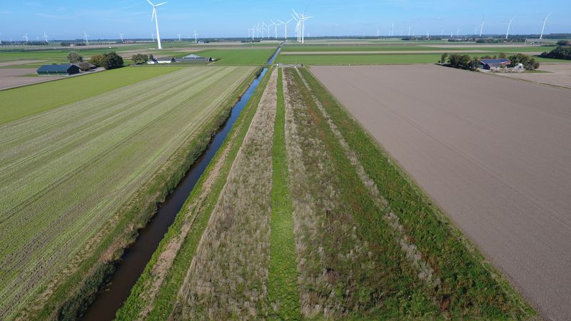 8 oktober 2022; gewasgroei vogelakker