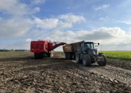 25 oktober 2022; suikerbieten rooien