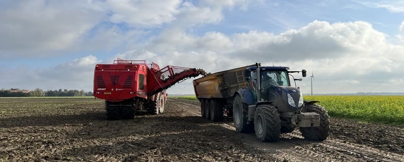 25 oktober 2022; suikerbieten rooien