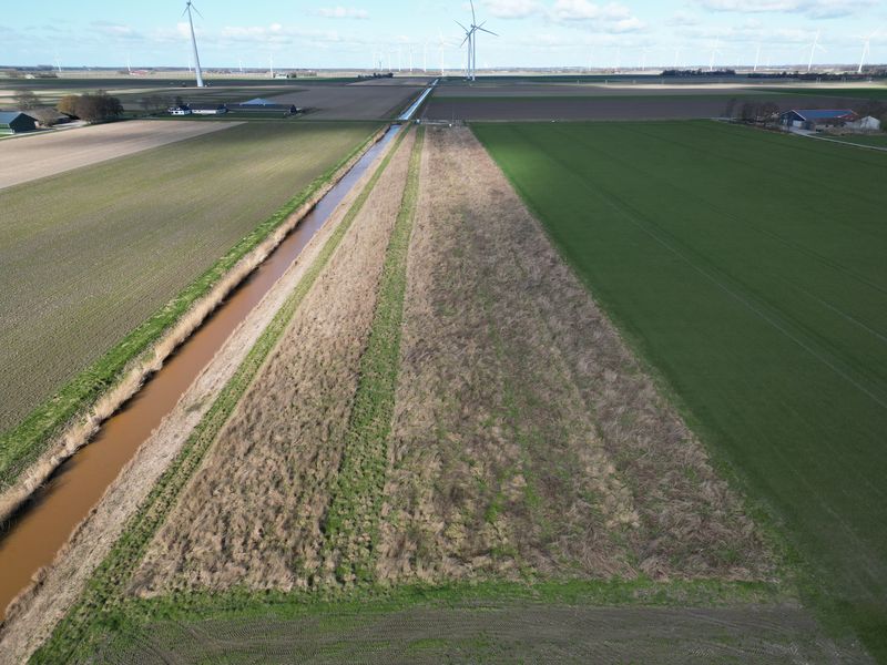 26 februari 2023; gewasgroei vogelakker.