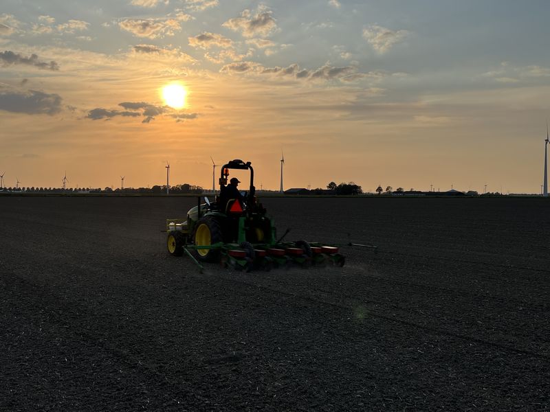 19 mei 2023; suikerbieten zaaien proefveld