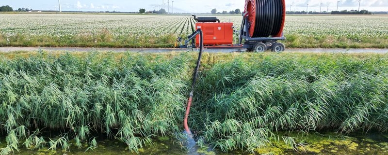 1 juli 2023; aardappels en uien beregenen