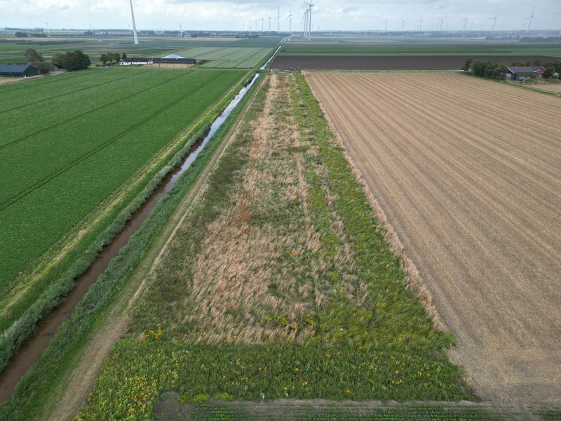 30 juli 2023; gewasgroei vogelakker