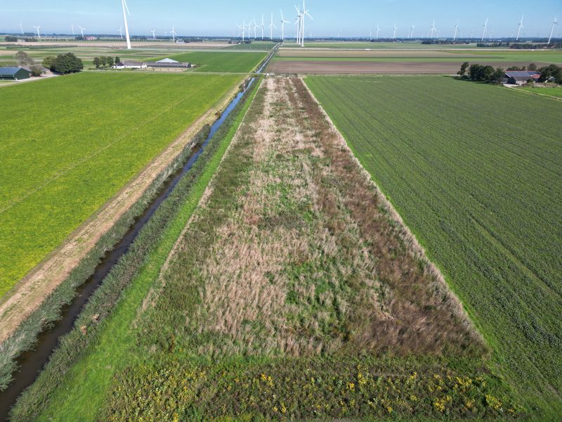 4 september 2023; gewasgroei vogelakker