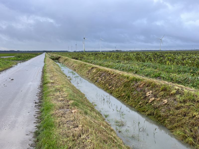 31 oktober 2023; maaikorven slootbodems