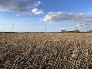 25 maart 2024; gewasgroei gbm Warmseason