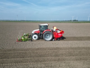 11 mei 2024; aardappels poten