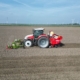 11 mei 2024; aardappels poten