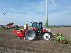 11 mei 2024; aardappels poten
