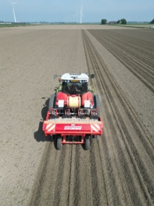 11 mei 2024; aardappels poten