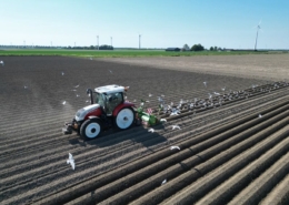 21 mei 2024; aardappel ruggen frezen, rugopbouw.