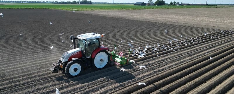 21 mei 2024; aardappel ruggen frezen, rugopbouw.