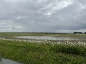 31 mei 2024; wateroverlast