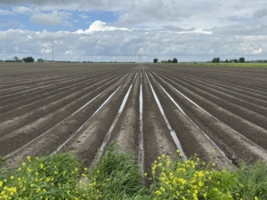 31 mei 2024; wateroverlast