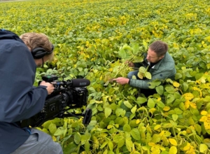 25 september 2024; Persevent Jumbo Nederlandse Edamame telers