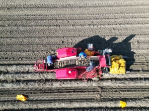 30 september 2024; oogst aardappel proefveld Sloots Agri