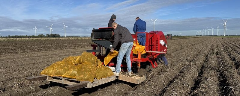30 september 2024; oogst aardappel proefveld Sloots Agri