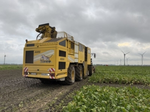 15 november 2024; oogst suikerbietenproefveld SESVanderHave