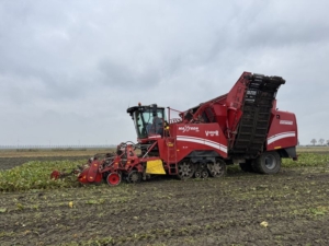 15 november 2024; oogst suikerbietenproefveld SESVanderHave