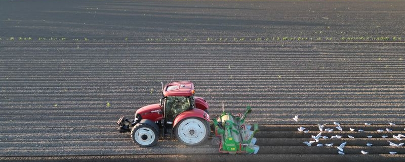 1 mei 2025; aanaarden frezen aardappelruggen