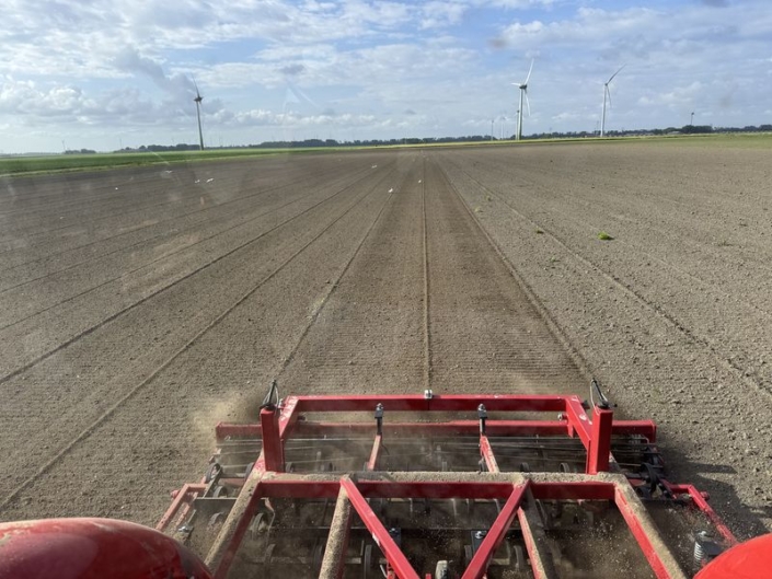 26 mei 2025; zaaibedbereiding edamame