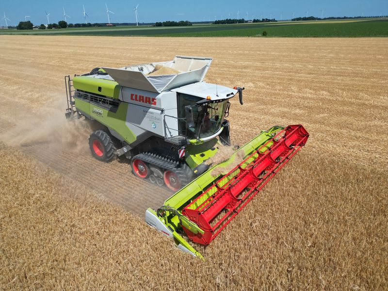 1 juli 2025; oogst wintergerst