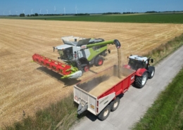 1 juli 2025; oogst wintergerst