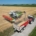 1 juli 2025; oogst wintergerst