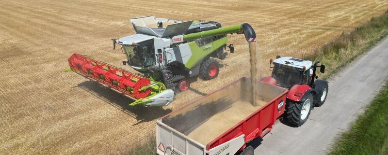 1 juli 2025; oogst wintergerst