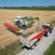 1 juli 2025; oogst wintergerst