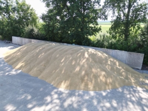 1 juli 2025; oogst wintergerst