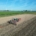 15 augustus 2025; bemesten graanstoppels met rundveedrijfmest