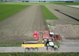 25 september 2025; suikerbieten rooien